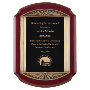 Airflyte Piano Finish Plaques — Selection 1