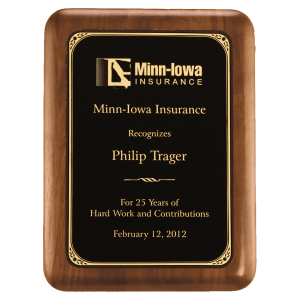 Airflyte Walnut Award Plaques — Selection 1