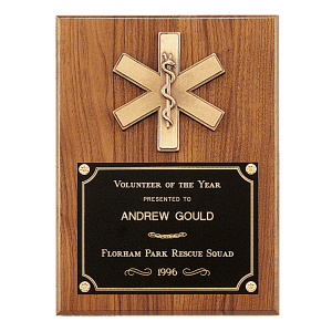 Airflyte Walnut Award Plaques — Selection 2