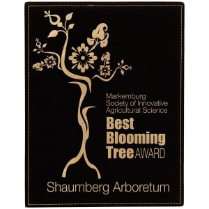 Laserable Leatherette Plaques